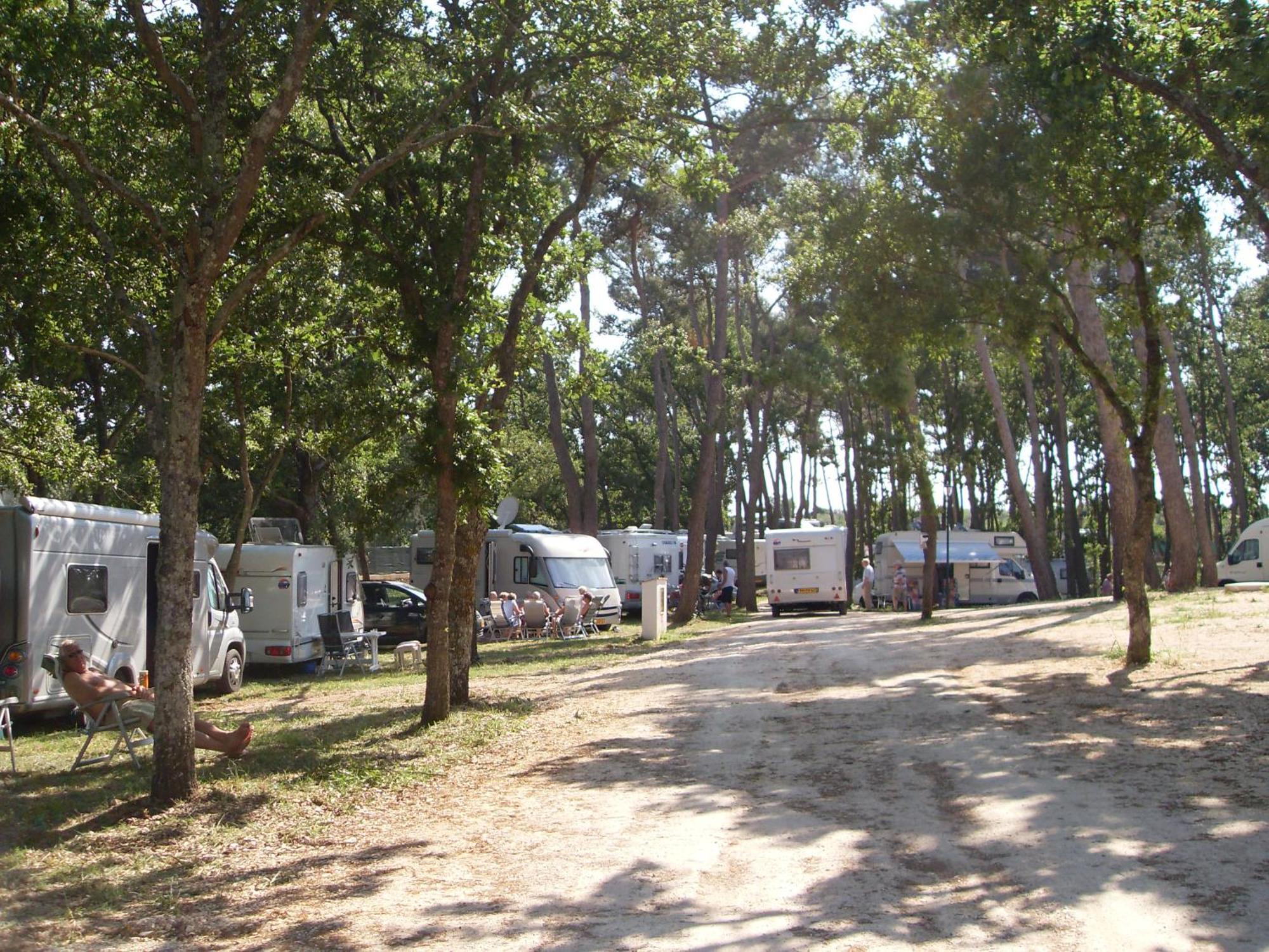 Villaggio Camping Bosco Selva 알베르벨로 외부 사진