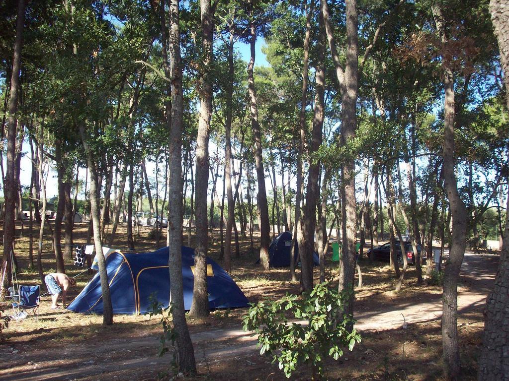 Villaggio Camping Bosco Selva 알베르벨로 외부 사진