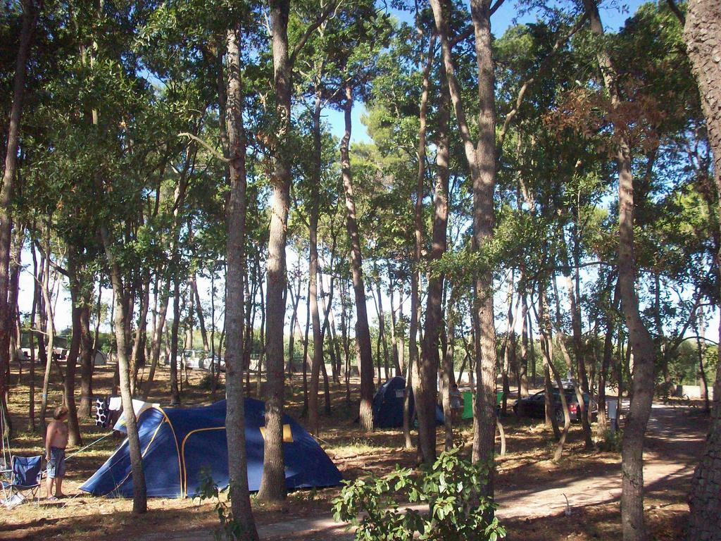 Villaggio Camping Bosco Selva 알베르벨로 외부 사진