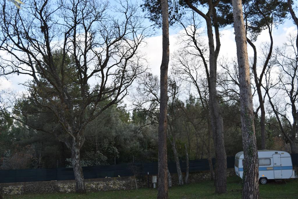 Villaggio Camping Bosco Selva 알베르벨로 외부 사진
