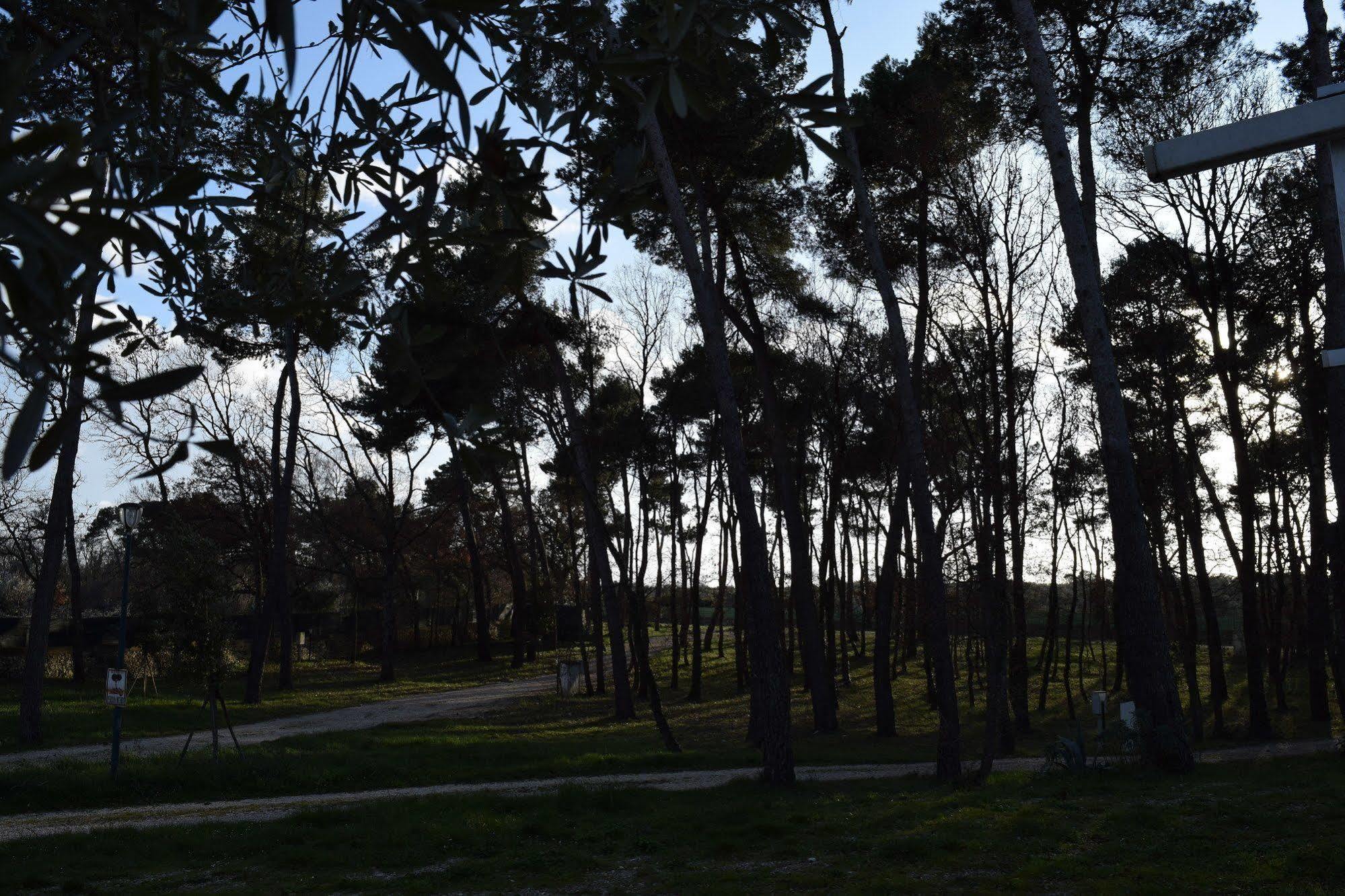 Villaggio Camping Bosco Selva 알베르벨로 외부 사진