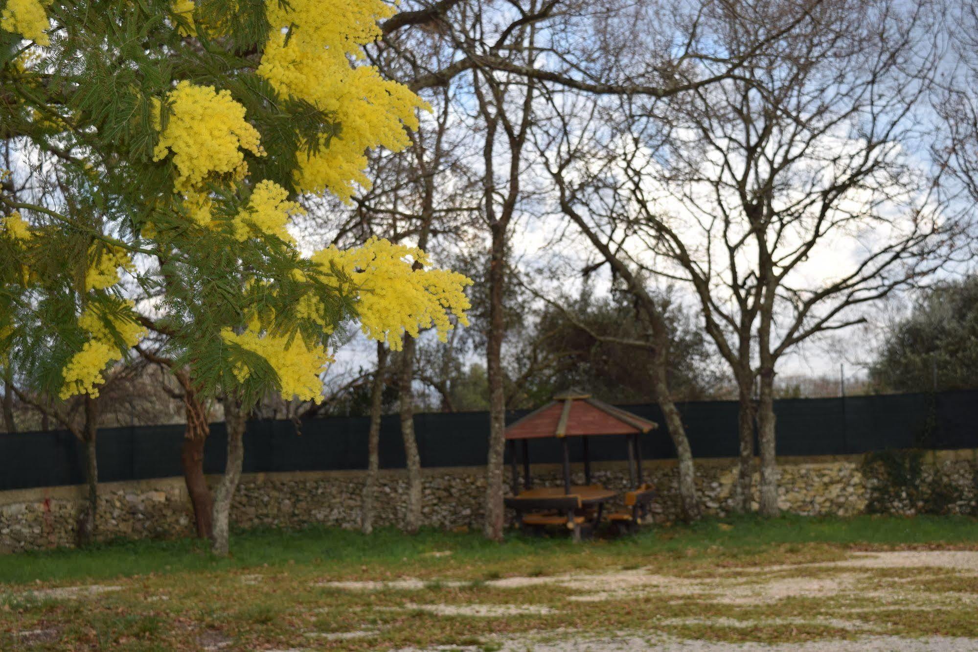 Villaggio Camping Bosco Selva 알베르벨로 외부 사진